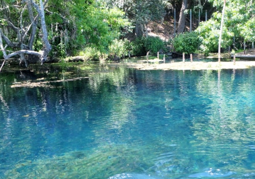 The Best Rivers and Lakes in Texas for Tubing: An Expert's Guide